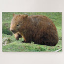 Buscar animal australiano puzzles Wombat