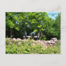 Buscar confederado postales Gettysburg