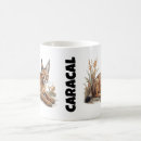 Buscar caracal tazas Salvaje