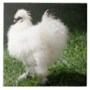 Buscar pollos azulejos General y unisex