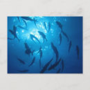 Buscar under the sea postales Pescar