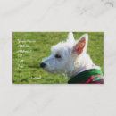 Buscar westie tarjetas de visita Terrier