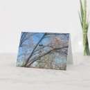 Buscar rosa de los vientos postales Flores