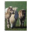 Buscar miniatura cuadernos Caballo