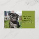 Buscar pug tarjetas de visita Cachorro