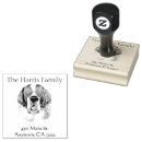 Buscar saint bernard postales Divertido