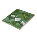 Buscar de la flor azulejos Baldosas cerámicas