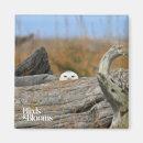 Buscar rapaces imanes El birding