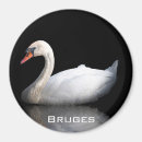 Buscar recuerdo de bélgica imanes Moretones