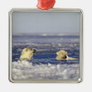 Buscar peligro adornos Nieve