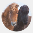 Buscar equus pegatinas Frío