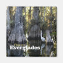 Buscar florida everglades imanes Oscilación