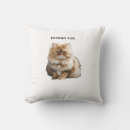 Buscar gato persa cojines Gatito