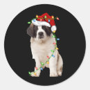 Buscar saint bernard pegatinas Navidades