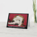 Buscar cumpleaños del gato calicó postales Gatitos