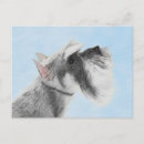 Buscar schnauzer gigante postales Perro