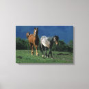 Buscar mustang lienzos Equestrian