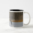 Buscar temperatura tazas Integral