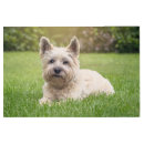 Buscar west highland white terrier arte Lindo