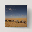Buscar sahara chapas África
