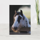 Buscar vanguardista tarjetas Caballo
