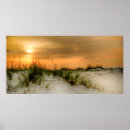 Buscar amanecer en la playa posters Fotografía