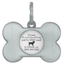 Buscar terrier mascotas Russell