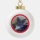Buscar bola mascotas Navidad