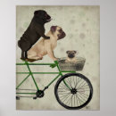 Buscar perros posters Perros en bicicleta