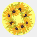 Buscar susans pegatinas Rudbeckia