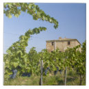 Buscar uvas azulejos Rústico