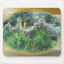 Buscar vid floreciente Flores