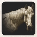 Buscar caballo posavasos Animal