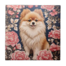 Buscar perro de pomerania azulejos Pomerano