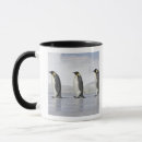 Buscar pingüinos tazas Animales lindos