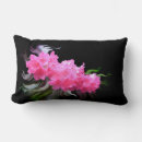 Buscar azalea cojines Elegante