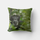 Buscar chimpancé cojines Selva tropical
