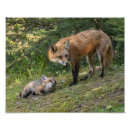 Buscar amo a mi hijo posters Amor