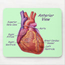 Buscar anatomía del corazón alfombrillas de raton Biología