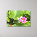 Buscar lirio de agua lienzos Rosa