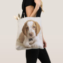 Buscar primero plano bolsos Perro