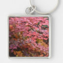Buscar otoño llaveros Naturaleza