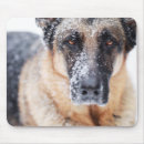 Buscar pastor alemán alfombrillas de raton Lindo