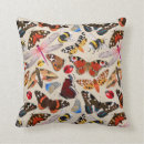 Buscar insectos cojines Mariposas