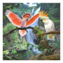 Buscar cockatoo posters Jungla