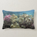 Buscar barrera cojines Mar