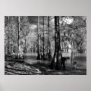 Buscar waterscapes posters Lake