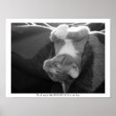 Buscar perspectivas posters Fotografía