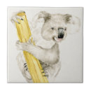 Buscar cute azulejos Animales
