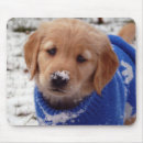 Buscar golden retriever alfombrillas de raton Perrito